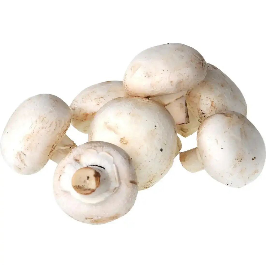 Гриби печериці ваг